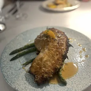 Yellowtail Snapper