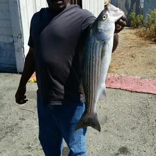 Here is nice one caught by Felix!