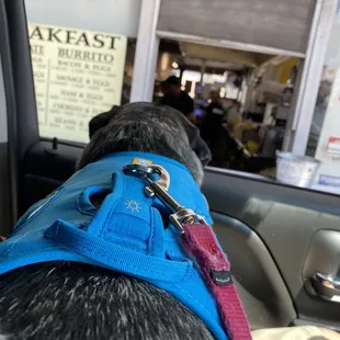 Drive through call ahead if busy