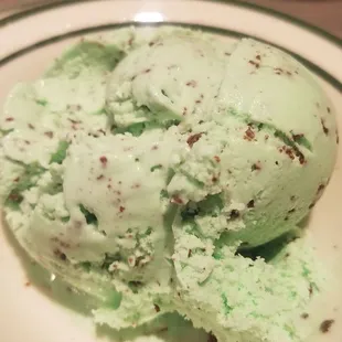 Mint Chocolate Chip