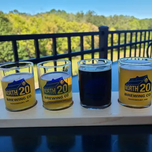 Trying a flight with a view!