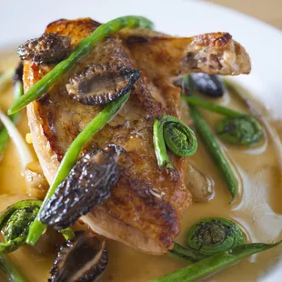 Organic Chicken with Fiddlehead Ferns