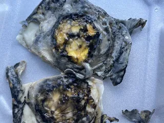 Shamrock's Ale House