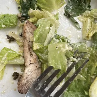 Caesar Salad