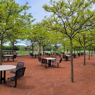 Picnic table area near shelter.