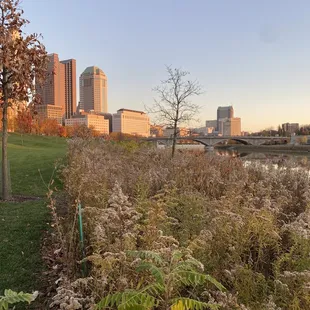 Beautiful fall evening