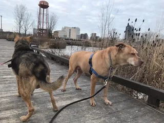 Scioto Audubon Metro Park