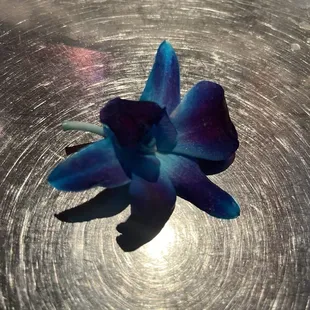 Orchard flower that came with meal