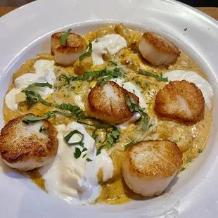 special scallops