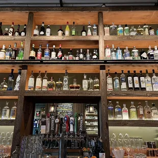 shelves full of liquor bottles