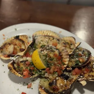 oysters, mussels, food, oysters and mussels, shellfish