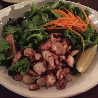 Grilled Octopus & White Bean Salad