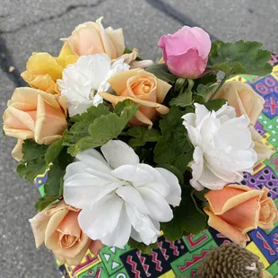 Some roses for your viewing pleasure