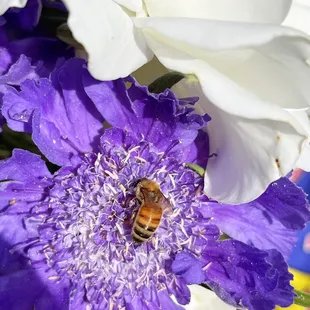 You are known by the company you keep, so draw bees and not wasps (unless you're a fig).