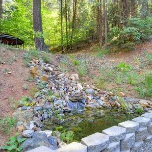 Pond and gazebo with 250 year old trees in the background