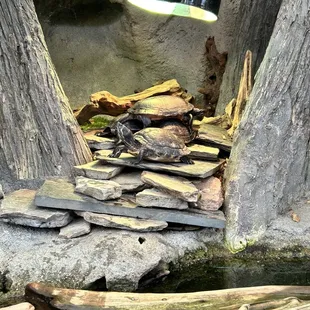 North Carolina Aquarium on Roanoke Island