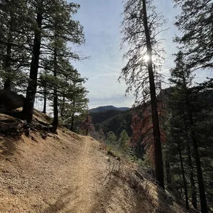Columbine trail