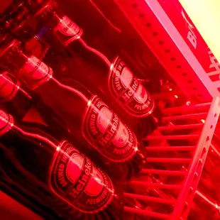 bottles of beer in a cooler