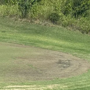 Horrible putting conditions