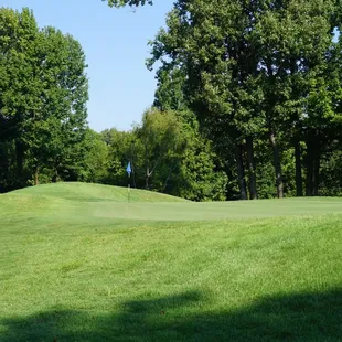 Very well kept greens