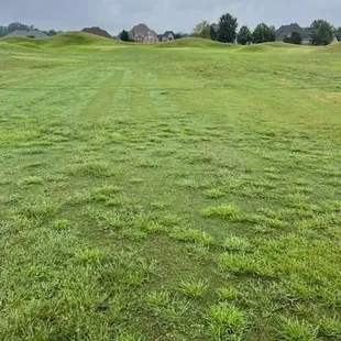 Middle of fairway 9/4/22