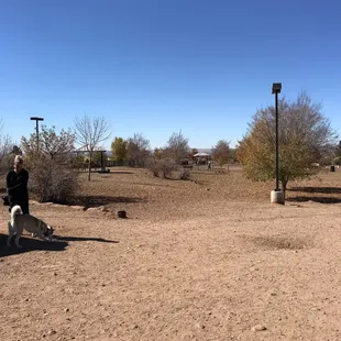 Small dog area, under 25 lbs.