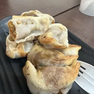 Pan fried potstickers