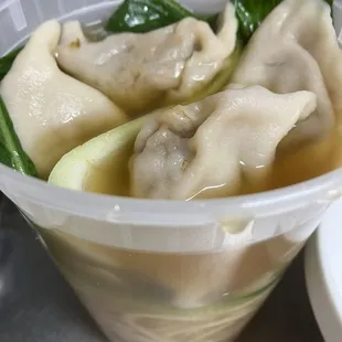Pork Dumpling Noodle Soup