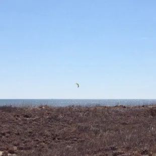 Great day for kites