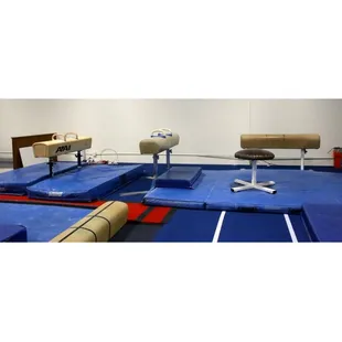 Boys Pommel Horse Area