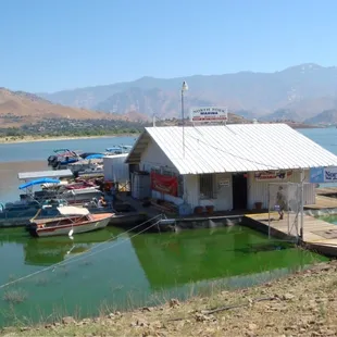 Nf marina floating on murky water.