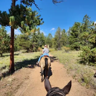 They provide multiple trail rides!