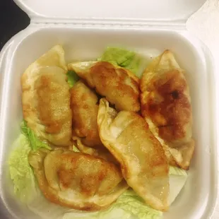 *the Fried Pork Dumplings