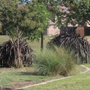 Photo by Happy Tails Pet Pal, LLC.