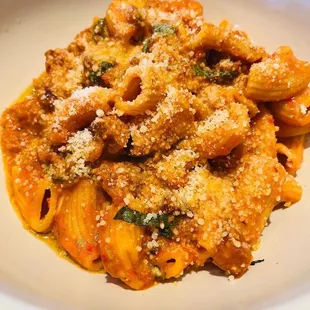 Spicy Rigatoni w/Vodka Sauce