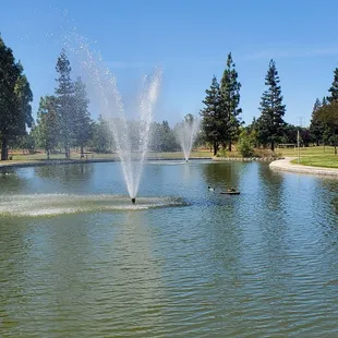 Pond in the park