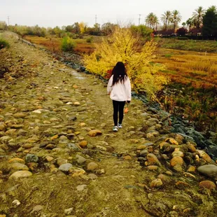 Mini nature trail loop around the park.