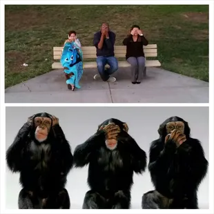 The three wise monkeys!