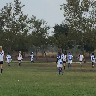 Let's go Galaxy Blues!