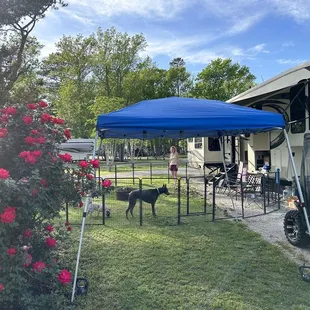 This is our site, the biggest RV site I&apos;ve experienced in over a year and a half of fulltime RVing