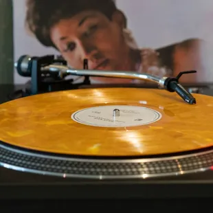 Aretha keeping an eye on the vinyl
