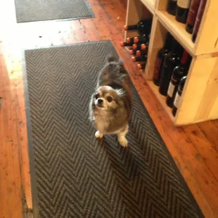 Little Prince will help you select the perfect wine pairing :-)