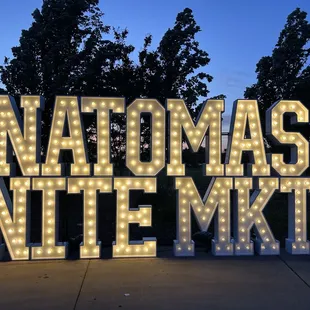 North Natomas Regional Park