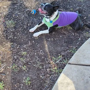 Someone&apos;s happy
