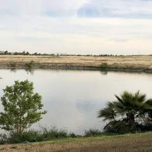 05/08/2020: Clean looking water
