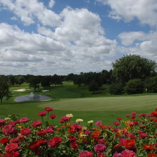 Stunning view of the 18th green from the patio.