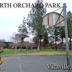 Basketball Court (Half-court)