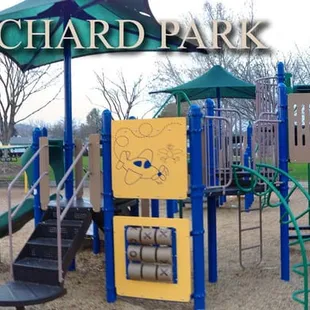 Playground Area