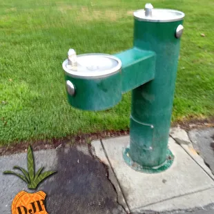 Water Fountain