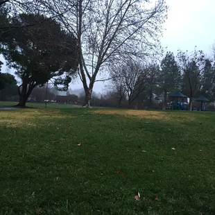 Wet, dark day. Jan. 2016